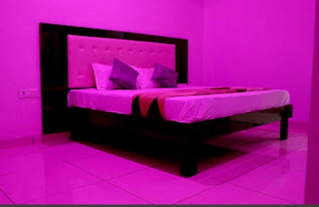 Oyo Palace Hotel Rohtak 外观 照片